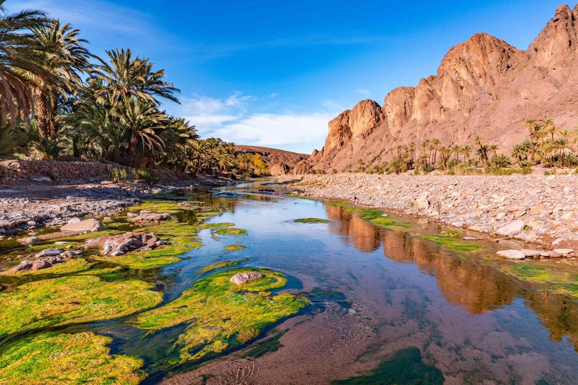Appart Aigle Hotel ورزازات المظهر الخارجي الصورة
